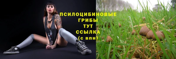 ECSTASY Вязники