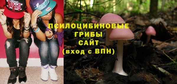 PSILOCYBIN Вязьма