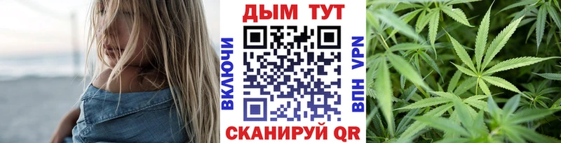 наркотики  Тбилисская  Бошки Шишки OG Kush 